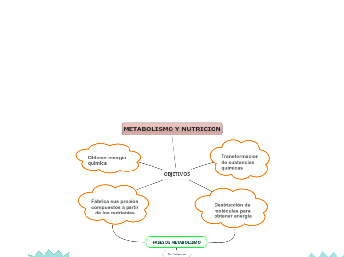 METABOLISMO Y NUTRICION