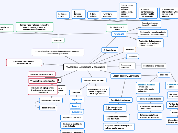 FRACTURAS, LUXACIONES Y ESGUINCES