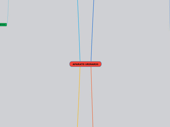 MAPA MENTAL DEL  APARATO URINARIO MARIEL JHOSELIN RAMOS MAMANI