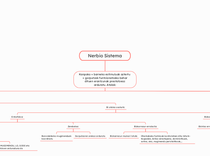 Nerbio Sistema