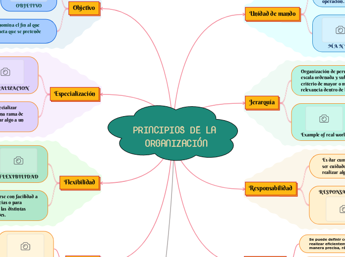 PRINCIPIOS DE LA ORGANIZACIÓN