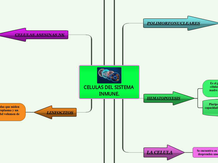 CELULAS DEL SISTEMA INMUNE.