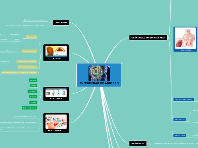 ENFERMEDAD DE ADDISON