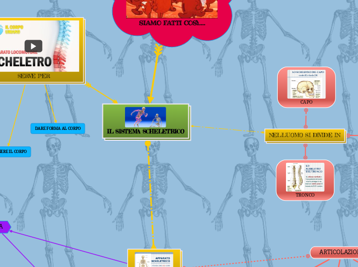 IL SISTEMA SCHELETRICO