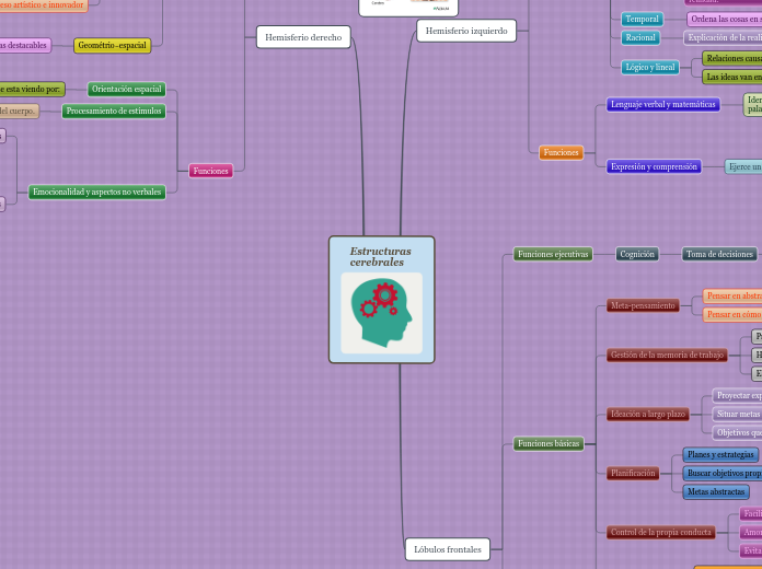 Estructuras cerebrales