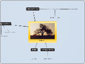 mapa conceptual los montescos