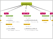 Structuur België