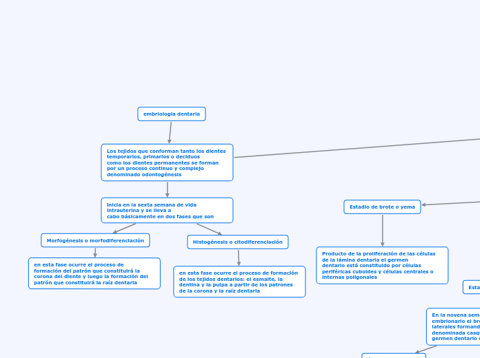 embriologia dentaria