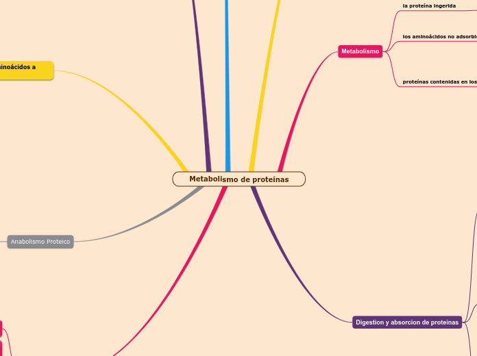Metabolismo de proteínas