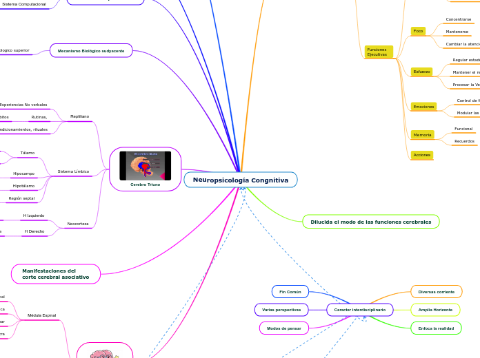 Neuropsicología Congnitiva