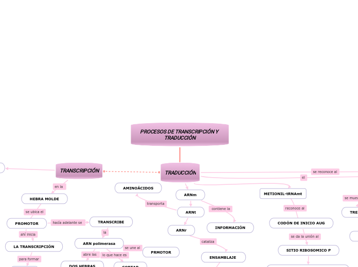 PROCESOS DE TRANSCRIPCIÓN Y TRADUCCIÓN