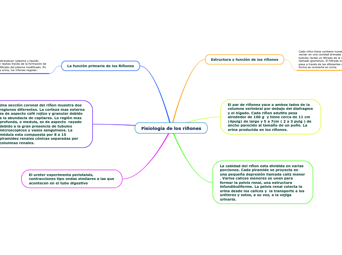 Fisiologia de los riñones