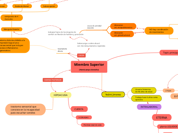 Miembro Superior
(Hemicuerpo derecho)