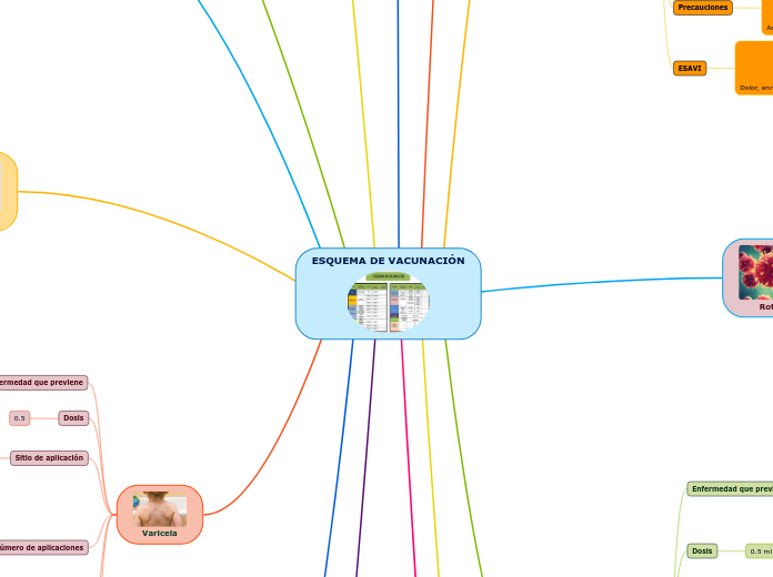 ESQUEMA DE VACUNACIÓN