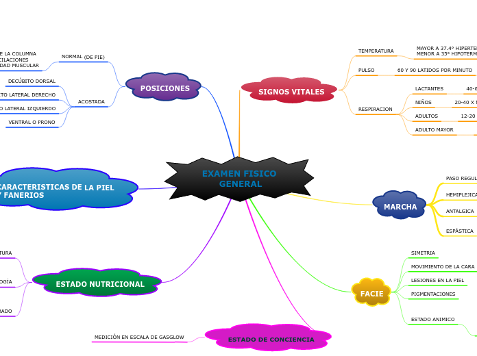EXAMEN FISICO GENERAL