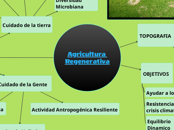 Agricultura Regenerativa