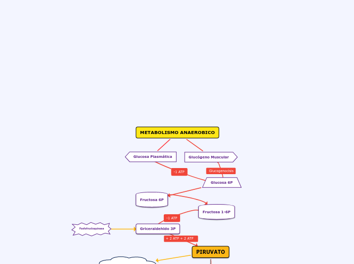 METABOLISMO ANAEROBICO