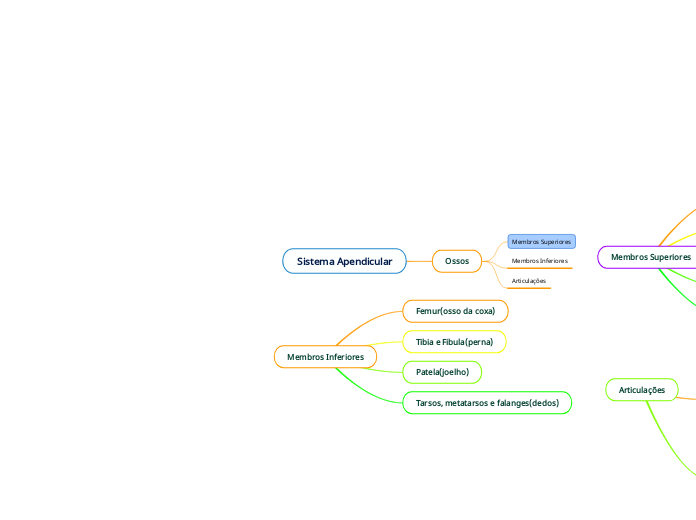 Sistema Apendicular