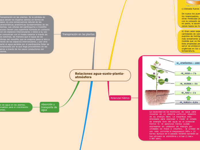 Relaciones agua-suelo-planta-atmósfera