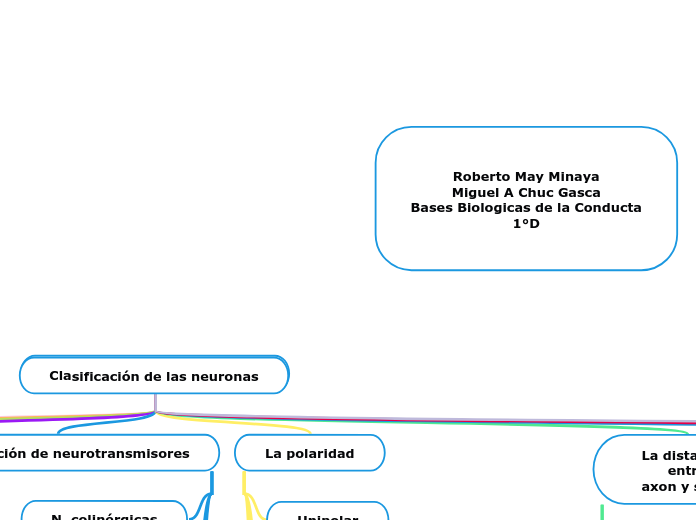 Clasificación de las neuronas