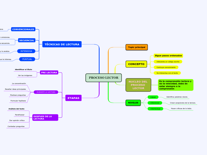 PROCESO LECTOR