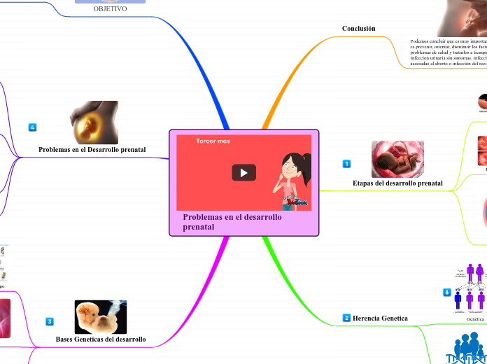 Problemas en el desarrollo prenatal