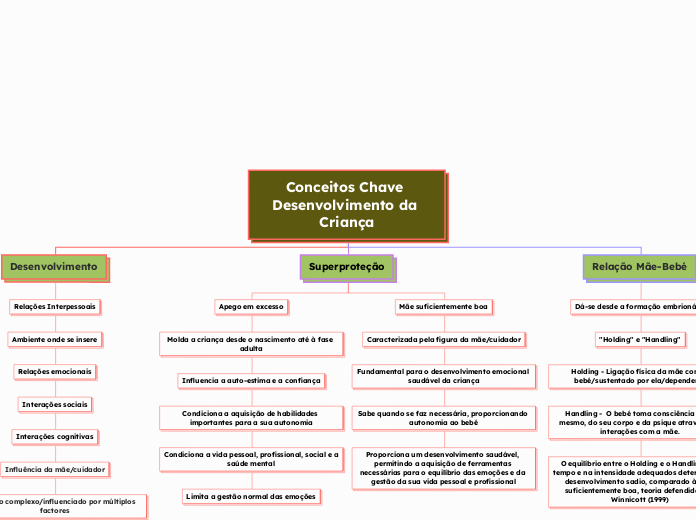 Conceitos Chave Desenvolvimento da Criança