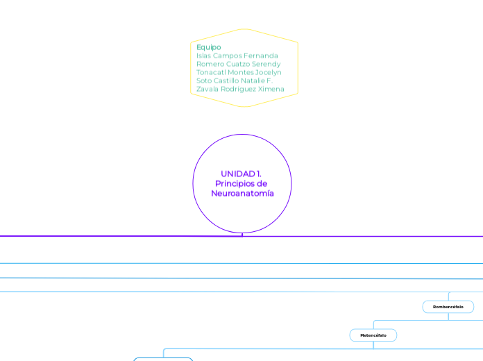 UNIDAD 1. Principios de Neuroanatomía