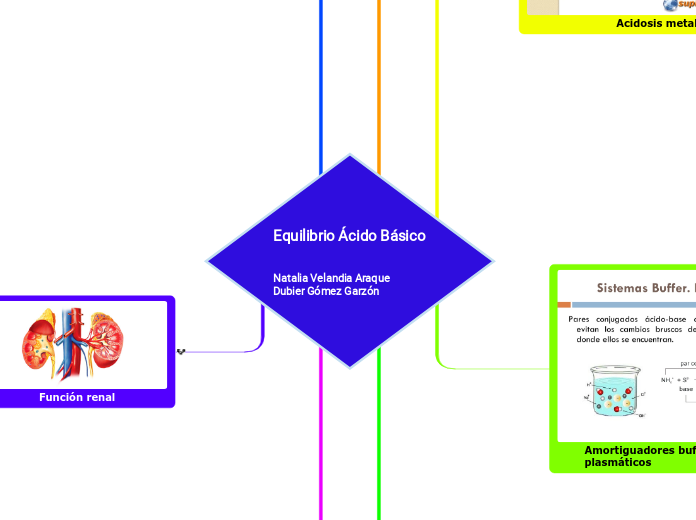 Equilibrio Ácido Básico


Natalia Velandia Araque
Dubier Gómez Garzón