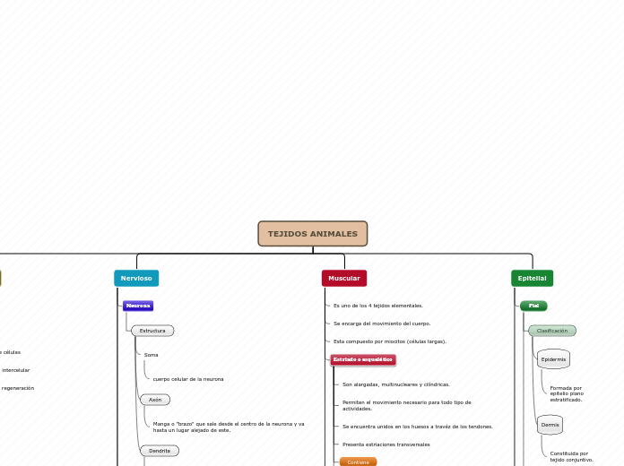 Organigrama arbol