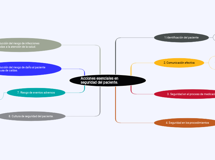 Acciones esenciales en seguridad del paciente.