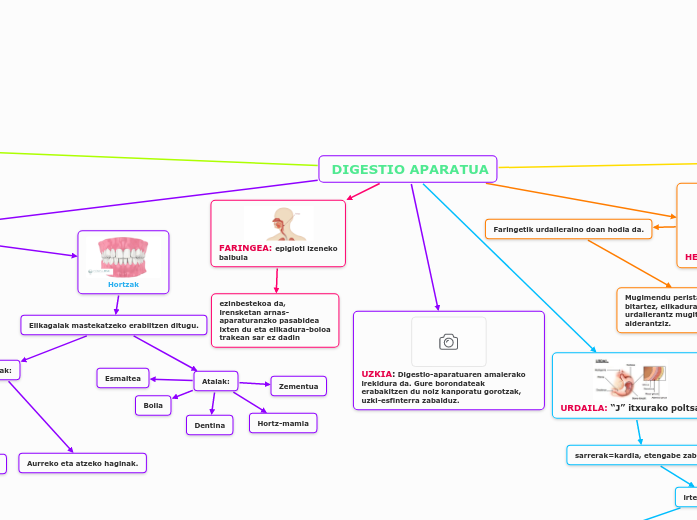  DIGESTIO APARATUA