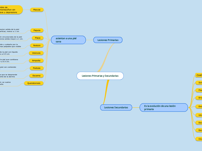Lesiones Primarias y Secundarias