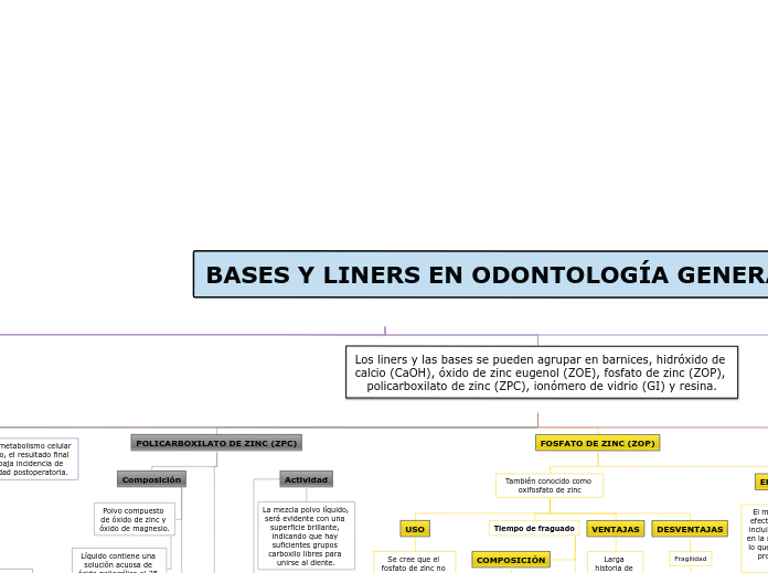 BASES Y LINERS