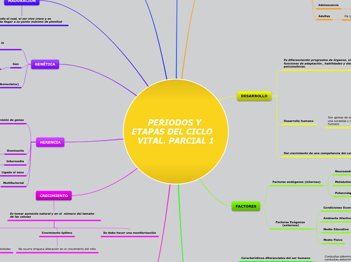 PERIODOS Y ETAPAS DEL CICLO   VITAL. PARCIAL 1