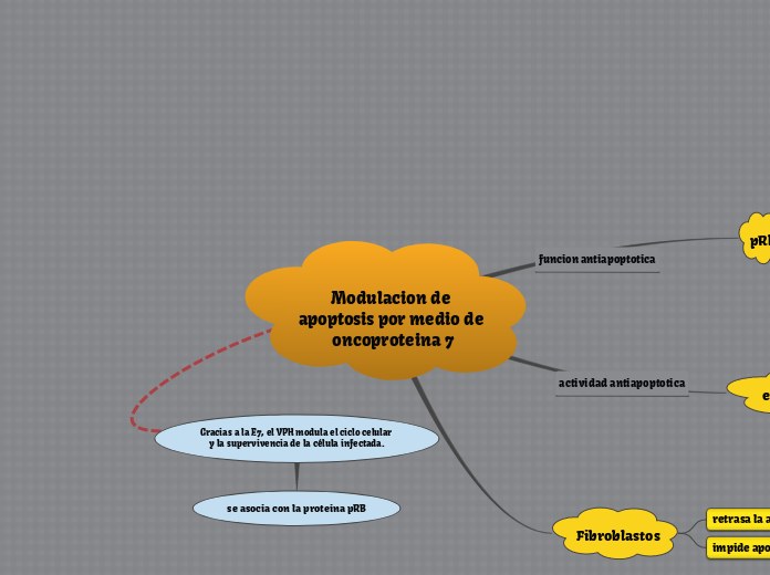 Modulacion de apoptosis por medio de oncoproteina 7