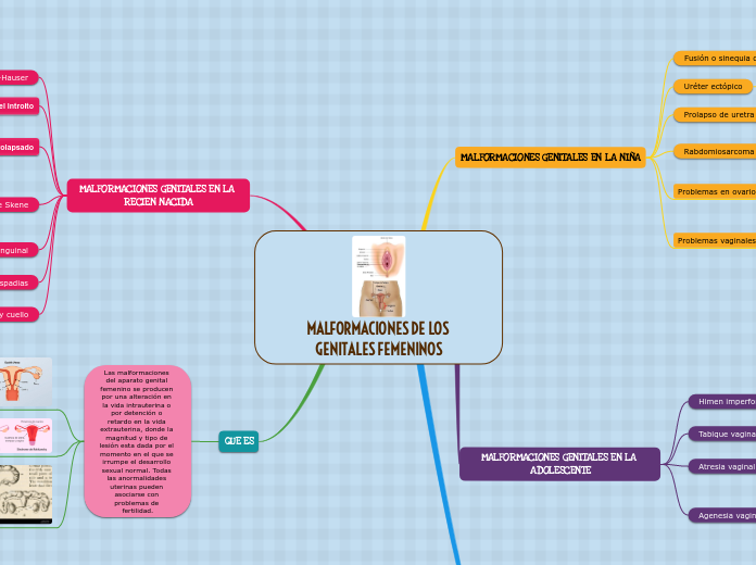 MALFORMACIONES DE LOS GENITALES FEMENINOS