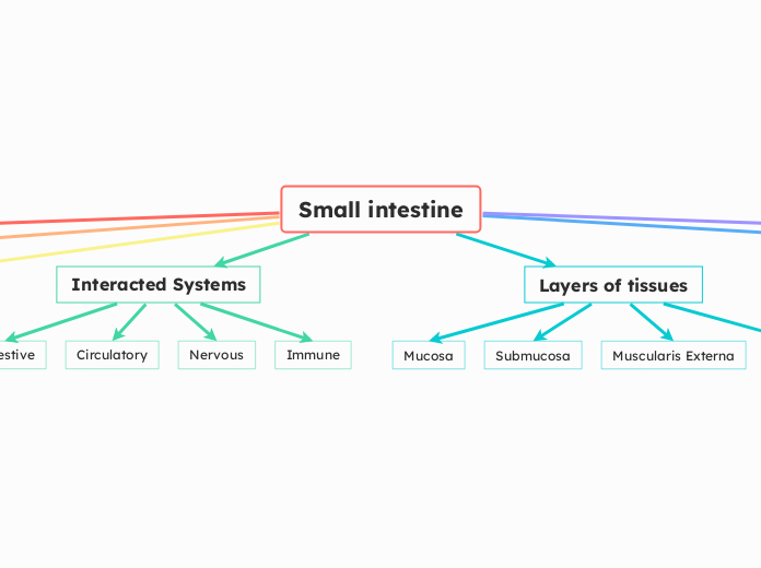 Small intestine