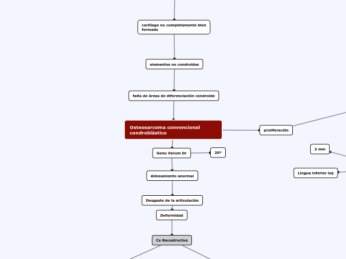 Osteosarcoma convencional condroblástico