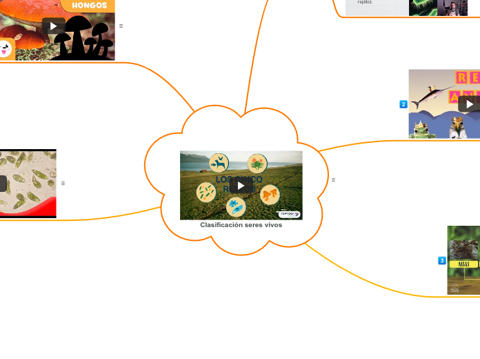 Clasificación seres vivos
