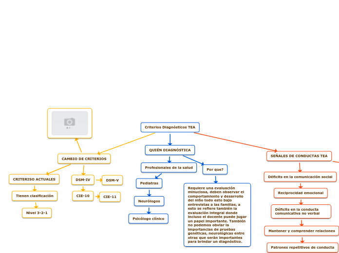 Criterios Diagnósticos TEA