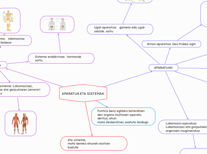 APARATUA ETA SISTEMAK