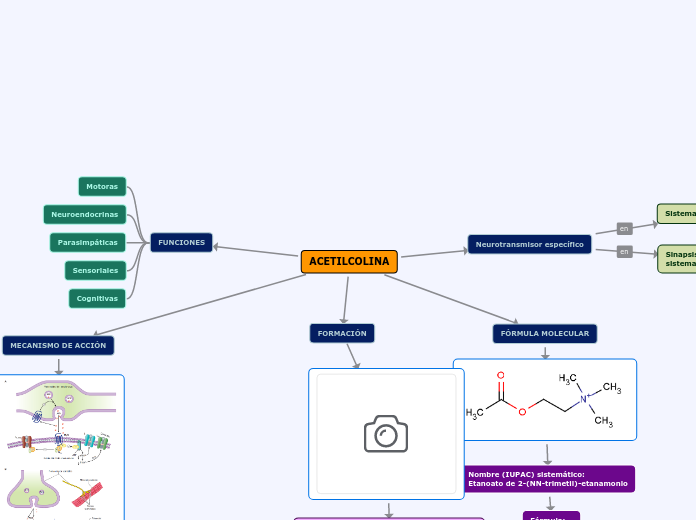 ACETILCOLINA