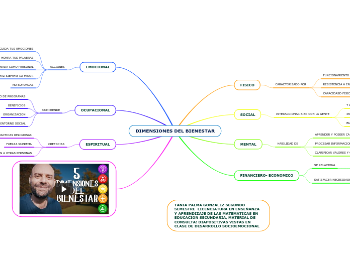 DIMENSIONES DEL BIENESTAR