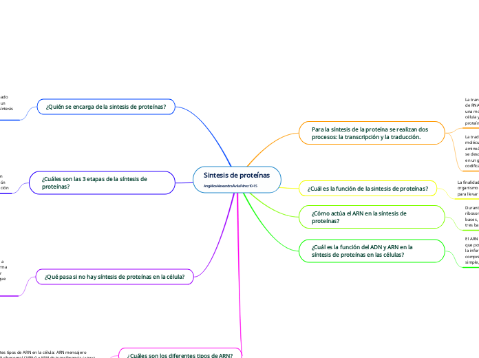 Sintesis de proteínas
Angélica Alexandra Ávila Pérez 10-15