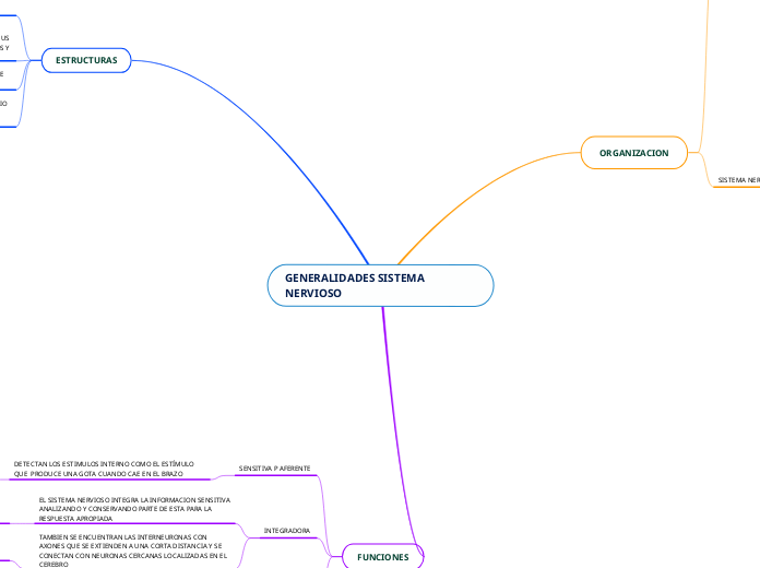GENERALIDADES SISTEMA NERVIOSO