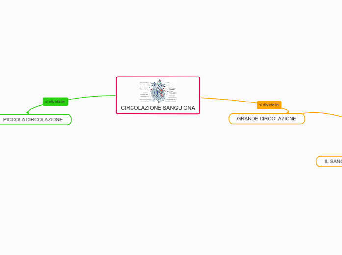 CIRCOLAZIONE SANGUIGNA