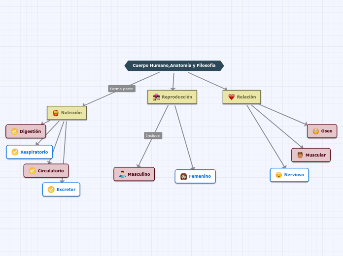 Cuerpo Humano,Anatomía y Filosofía