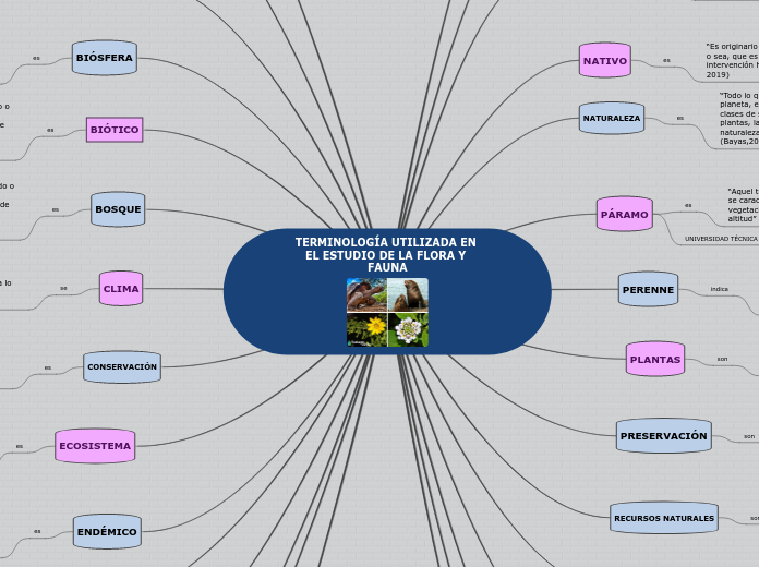 TERMINOLOGÍA UTILIZADA EN EL ESTUDIO DE LA FLORA Y FAUNA