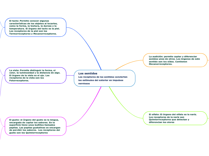 Los sentidos                                      Los receptores de los sentidos convierten los estímulos del exterior en impulsos nerviosos